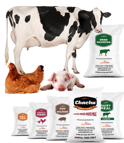 Promote Healthy Growth Booster Feed Additive for Pigs Cattle Sheep Nutrition Multivitamin Enhance Immune Powder Feed Su